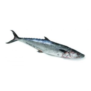 Fresh King Fish – Perfect for Grilling, Frying, or Baking, Delivered Across the UAE.