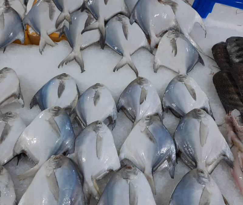 Online Fish Selling In Dubai