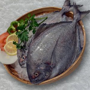 Fresh Black Pomfret (الزبيدي أسود) for sale online at Fresh Start Food, Dubai.