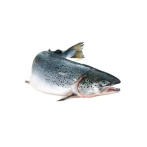 Fresh Salmon Fish from Fresh Start Food, high in Omega-3, perfect for grilling, baking, or sushi.