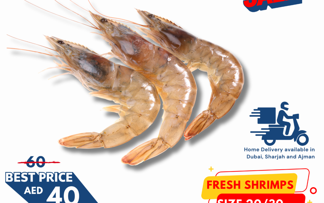 Special Shrimp Offer: Buy 10kg, Get 2kg Free – Limited-Time Low Price